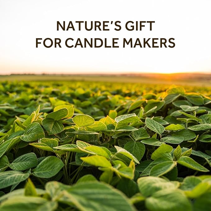 NORVENCE Soy Wax for Candle Making, Natural Soy Wax Flakes 1lb, Premium Candle Wax for DIY Candle Crafting