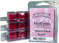 Our Own Candle Company Premium Wax Melt, Macintosh, 6 Cubes, 2.4 oz (4 Pack)