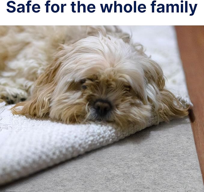 RUGPADUSA - Eco-Plush - 8'x10' - 1/4" Thick - 100% Felt - Premium Cushioned Rug Pad - Available in 3 Thicknesses, Many Custom Sizes
