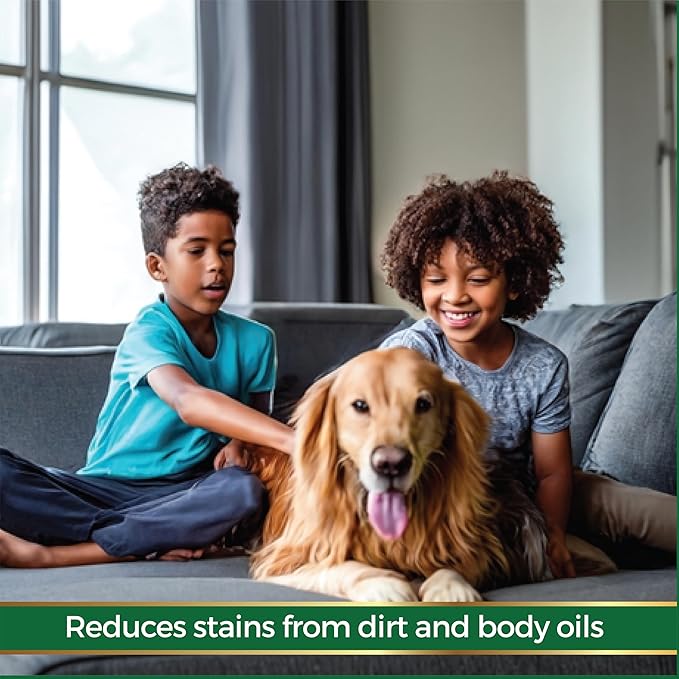 Fabric Protection Spray Water Based Solution - Natural Kid and Pet Safe Formula, Fabric Protector for Upholstery, Couch, Shoes, Jackets & Outdoor Furniture - Waterproof & Stain Resistant - 24 oz