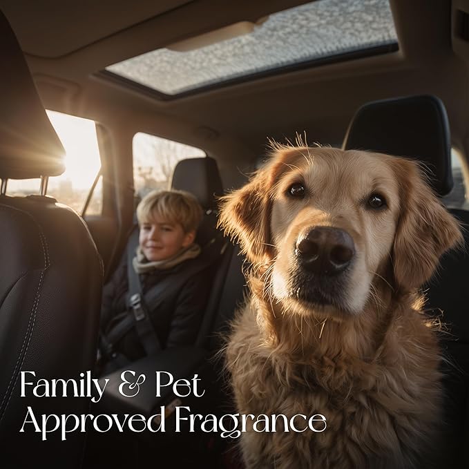 4 Refreshing Scent Bags Wood Car Air Freshener Vent Clip (Burlywood, Amber)- Natural Scent Diffuser for Car, Truck & SUV Premium Essential Oil Starter Kit Gift for Men & Women