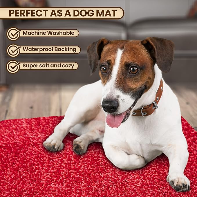 Premium Microfiber Indoor Door Mat – 36"x72" Washable Entry Mat, Non-Slip, Waterproof Backing, Super Absorbent, Low Profile Entryway Doormat for Indoor Entrance
